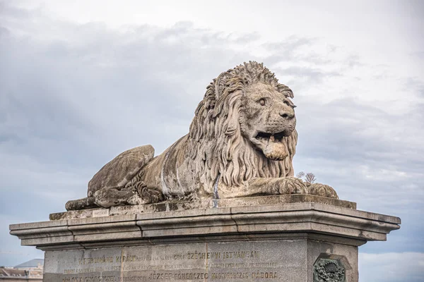 Estátua do leão em Budapeste, Hungria. — Fotografia de Stock