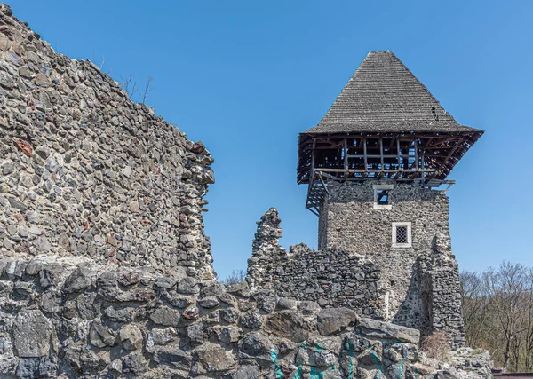 Ruinas del Castillo Nevytske. Ucrania. — Foto de Stock
