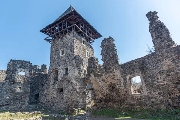 Ruinas del Castillo Nevytske. Ucrania. — Foto de Stock