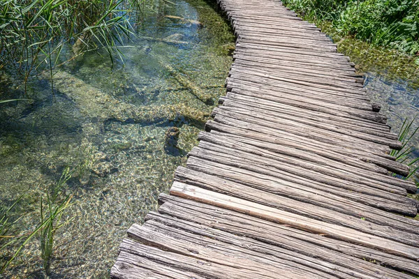 Stezka z dřevěných prken mezi jezerem a lesem — Stock fotografie
