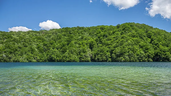 Lake with blue water against the background of forest and mountains — Stock Photo, Image