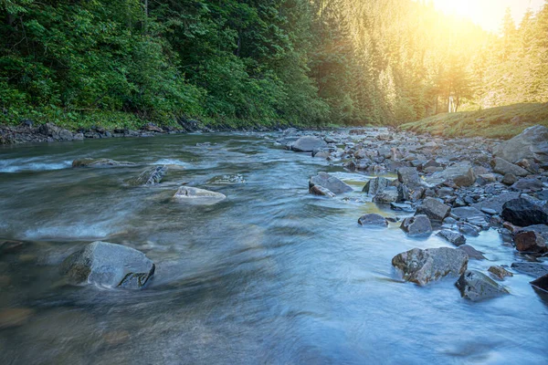 Paisagem de um rio rápido de montanha em um dia claro. — Fotografia de Stock