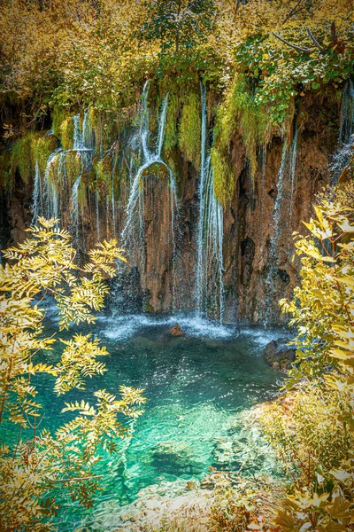 Belle cascade pittoresque dans les montagnes rocheuses au milieu de la forêt. — Photo