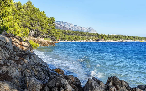 Stone coastline against the backdrop of the beautiful blue sea. Adriatic. — Stock Photo, Image