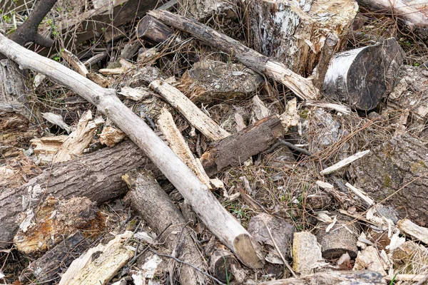 Heap de construção de detritos de madeira close-up. — Fotografia de Stock