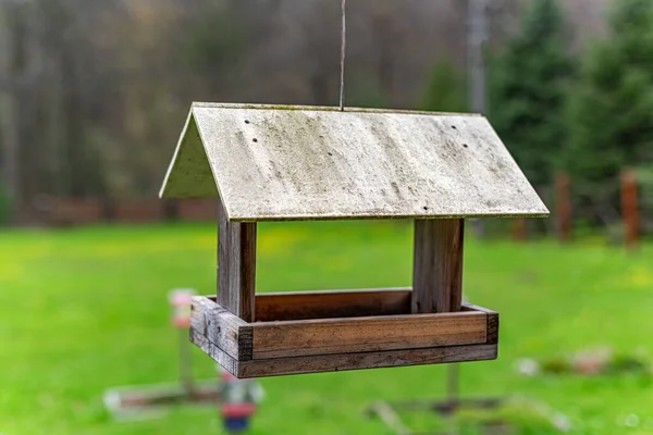 Ormanda kuş yemliği. — Stok fotoğraf