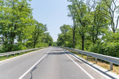 Ağaçların arasında otoyol.