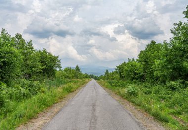 Ağaçların arasında otoyol.