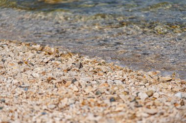 Deniz kıyısında çakıl taşları.