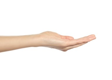 Bir kadının elini aç, yukarı palmiye.