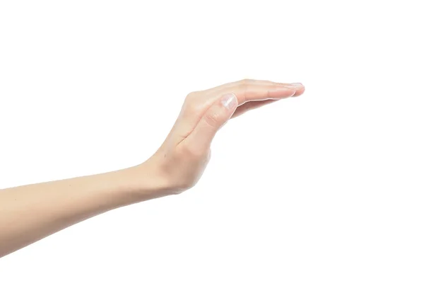 Женщина открытая рука — стоковое фото