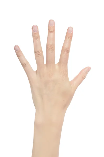 Counting woman hands five. — Stock Photo, Image
