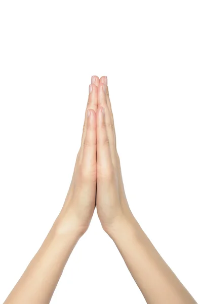 Praying hands of a woman. — Stock Photo, Image