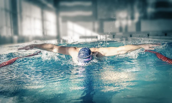 Nadador em uma piscina . — Fotografia de Stock