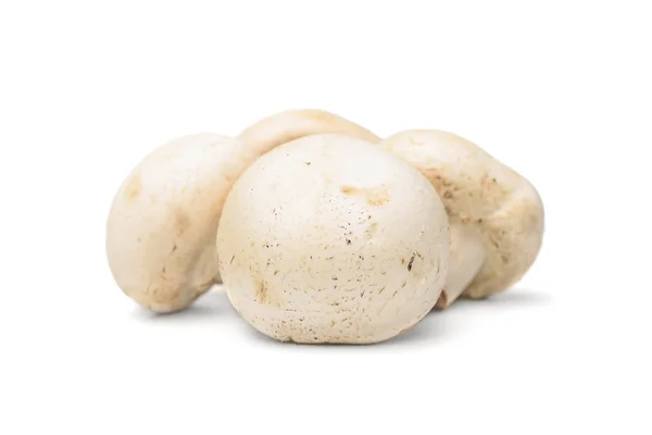 Čerstvé houba champignon izolované na bílém pozadí — Stock fotografie
