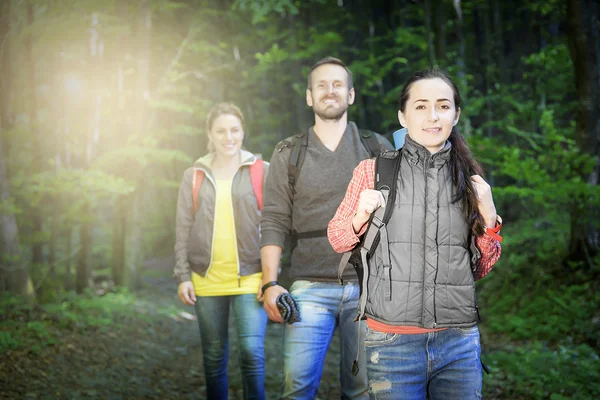 Senderistas en el bosque . — Foto de Stock