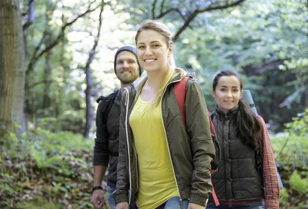 Senderistas en el bosque . — Foto de Stock