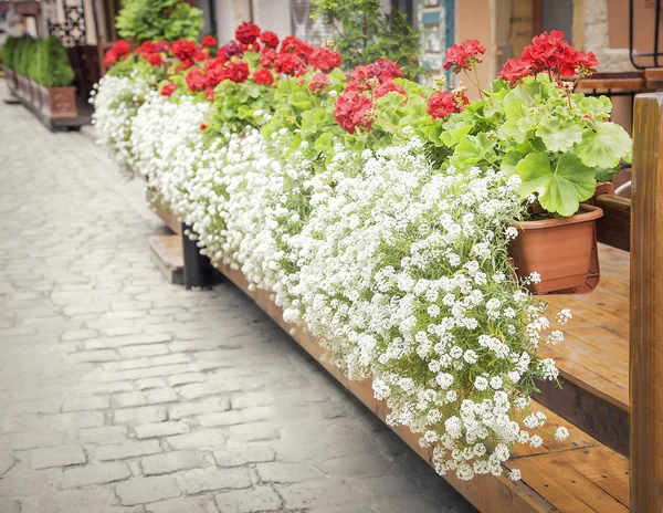 Na zewnątrz kawiarni — Zdjęcie stockowe