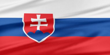 slovakya bayrağı. 