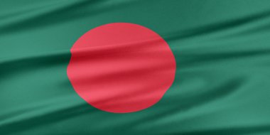 Bangladeş bayrağı. 