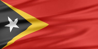 Doğu timor bayrağı. 