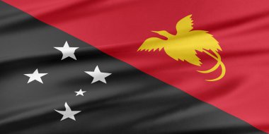 Papua Yeni Gine bayrağı. 