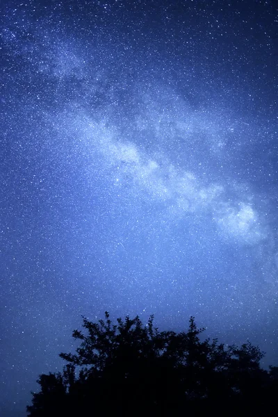 Stjärnhimmel. — Stockfoto