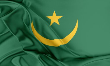 Moritanya bayrağı. 