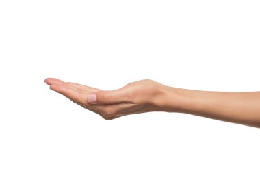 Bir kadının elini aç, yukarı palmiye.