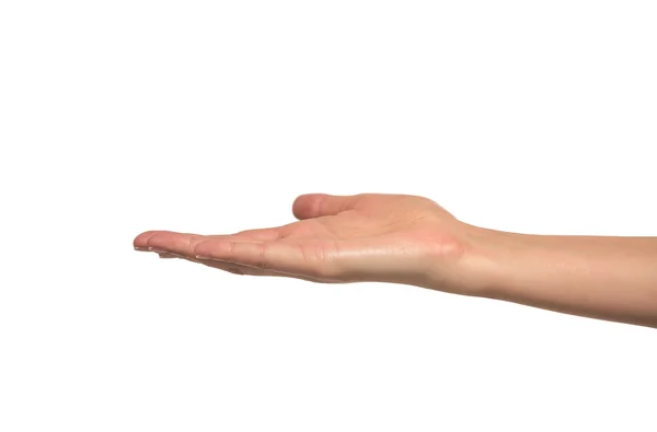 Bir kadının elini aç, yukarı palmiye.