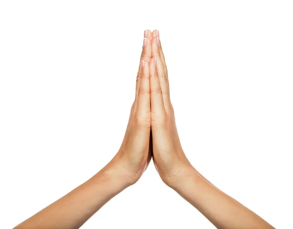 Praying hands of a woman. — Stock Photo, Image