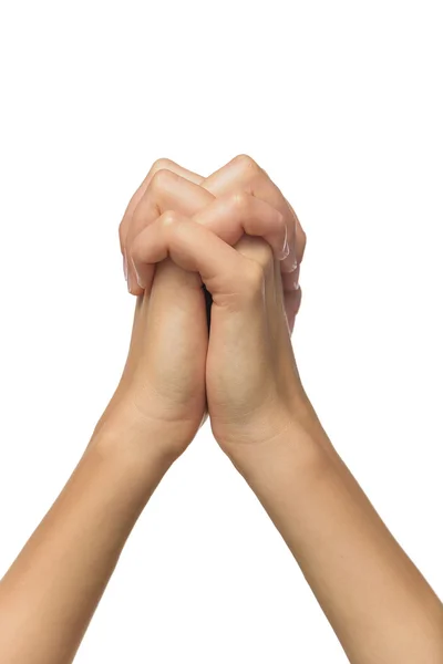 Praying hands of a woman. — Stock Photo, Image