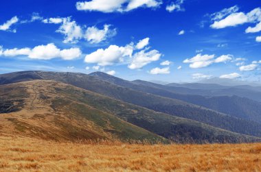 Ön planda kuru otlarla kaplı yuvarlanan tepelerle kaplı bir dağ manzarası ve beyaz bulutlarla dolu açık mavi bir gökyüzünün altında uzanan tepeler..