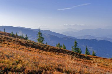 Sonbahar yapraklarıyla kaplı bir yamaca ve mavi bir gökyüzünün altında dağ katmanları olan yemyeşil ağaçlara sahip manzaralı bir manzara fotoğrafı..