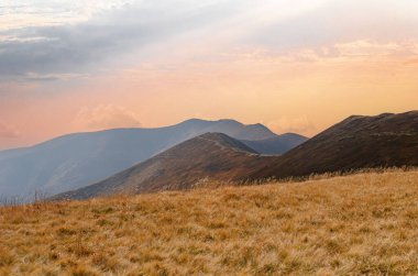 Gün batımında bir dağ sırasının engebeli, yuvarlak yamaçlarında, altın-kahverengi ön planda çimenler ve parlak, puslu bir gökyüzünün altında mavi ve mor tepeler katmanları yer alır..