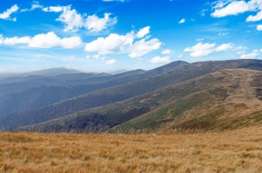 Yuvarlanan dağ yamaçları kuru, altın çimenler ve yeşil çalılarla kaplı açık mavi bir gökyüzü altında beyaz, tüylü bulutlarla.