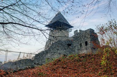 Bir ortaçağ taş kale kulesi, çıplak sonbahar ağaçları ve düşmüş portakal yapraklarıyla çevrili bir tepenin üzerinde duruyor. Nevitsky Kalesi, Transcarpathia, Ukrayna.