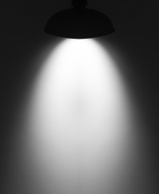 Taş duvar ışıklı spot boş.