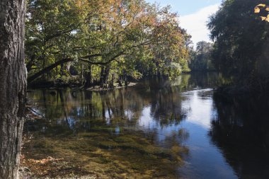 Nehir Santa Fe, Milli Park, Florida