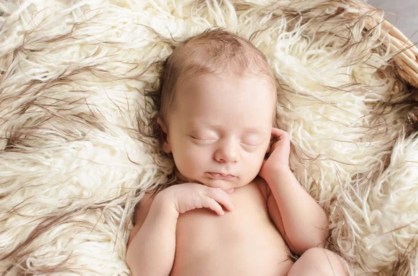 Baby in fur — Stock Photo, Image