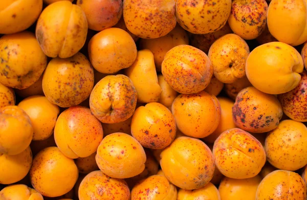 Lots apricot — Stock Photo, Image