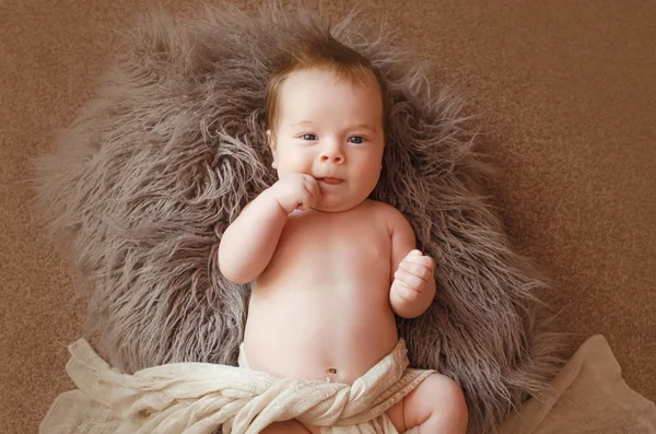 毛皮に興味津 々 の赤ちゃん — ストック写真
