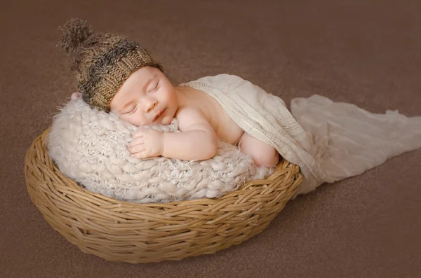 Bébé dodu dort dans le panier Images De Stock Libres De Droits