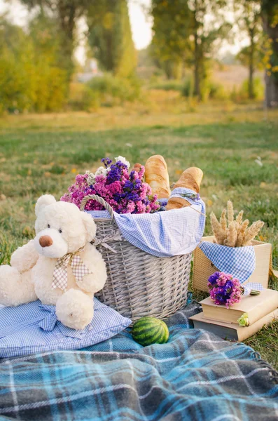 picnic on the grass