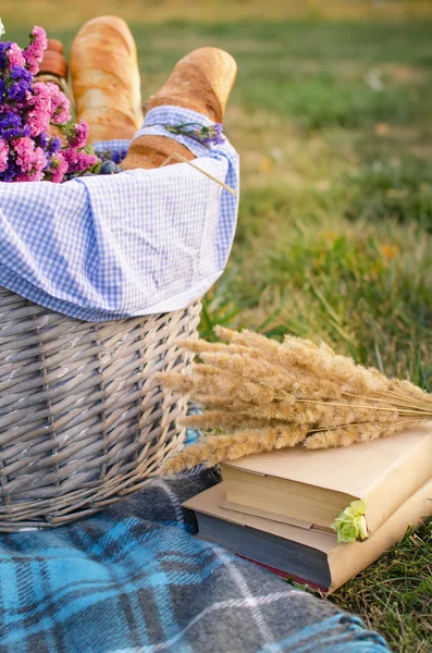 Boek en picknick mand — Stockfoto