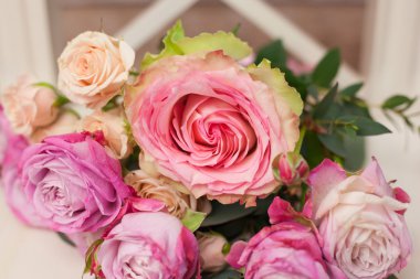 çiçek gül arka plan