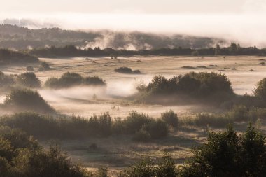 Çayırlarda gün doğumu ve sis.
