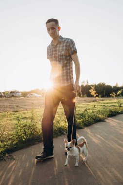 Bulanık etkisi. Genç bir adam bir Chihuahua ile parkta yürüyor..