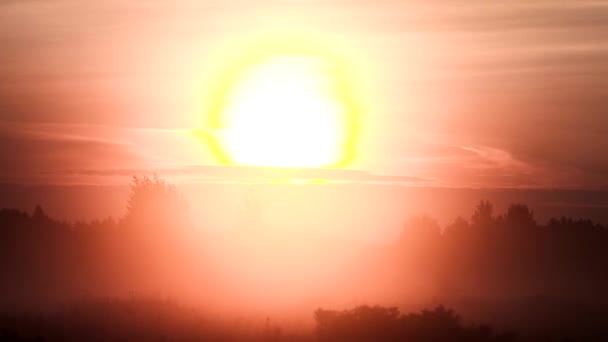 Tijdsverloop Ochtend Zomer Mist Rivier Bij Zonsopgang — Stockvideo