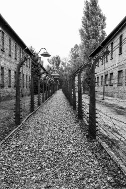 Auschwitz ve Auschwitz-Birkenau, imha kampı.